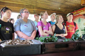 Students visit a coffee plantation in Costa Rica
